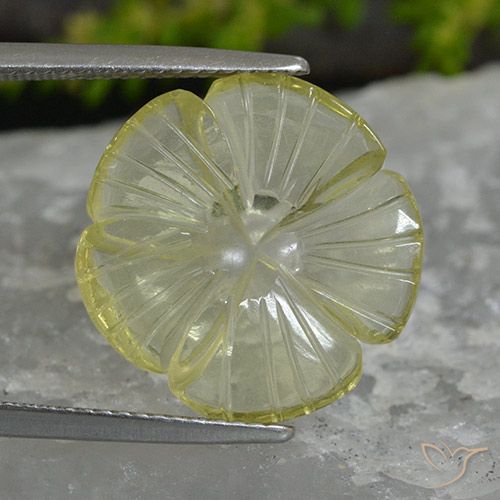 7.41ct Naturale Limone giallo Quarzo, Taglio a fiore, Trasparente