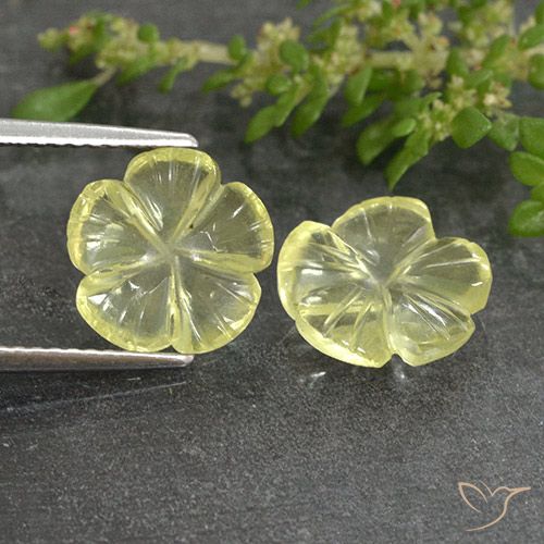 4.19ctw Naturale Giallo chiaro Quarzo, Taglio a fiore, Trasparente