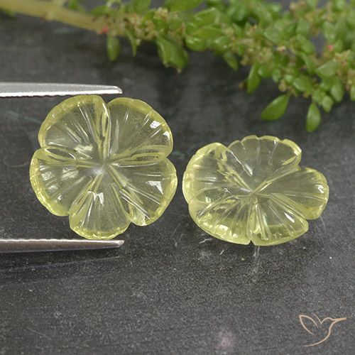 6.37ctw Naturale Giallo chiaro Quarzo, Taglio a fiore, Trasparente