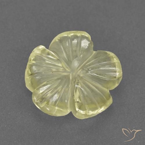 2.73ct Naturale Laguna Gialla Quarzo, Taglio a fiore, Trasparente