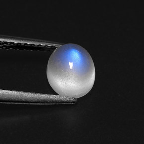Pietra di luna arcobaleno Blu bianco naturale da 1.59 ct, Trasparente, Trasparente/Traslucido