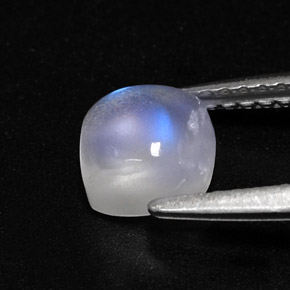 Pietra di luna arcobaleno Blu bianco naturale da 1.23 ct, Trasparente, Trasparente/Traslucido