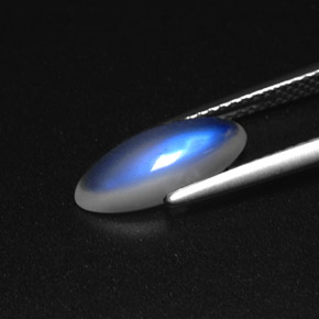 Pietra di luna arcobaleno Blu bianco naturale da 1.72 ct, Trasparente, Trasparente/Traslucido