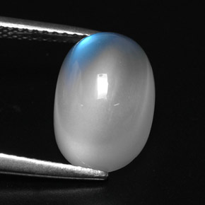Pietra di luna arcobaleno Blu bianco naturale da 5.25 ct, Trasparente, Trasparente/Traslucido