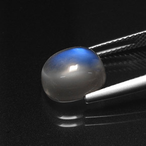 Pietra di luna arcobaleno Blu bianco naturale da 4.53 ct, Trasparente, Trasparente/Traslucido