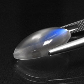 Pietra di luna arcobaleno Blu bianco naturale da 6.99 ct, Trasparente, Trasparente/Traslucido