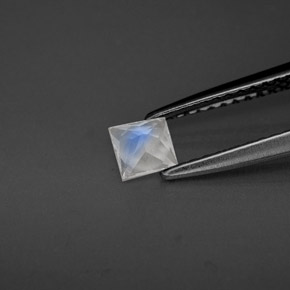 Pietra di luna arcobaleno Blu bianco naturale da 0.26 ct, Quadrato, VS