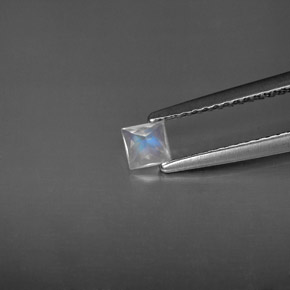 Pietra di luna arcobaleno naturale bianco da 0,19 ct, quadrato, VS