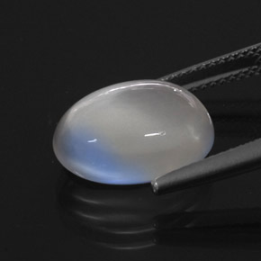 Pietra di luna arcobaleno Blu bianco naturale da 7.04 ct, Trasparente, Trasparente/Traslucido