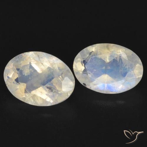 Gemme di Pietra di luna arcobaleno Bianco bluastro naturale da 1.45 ct, Ovale, Trasparente