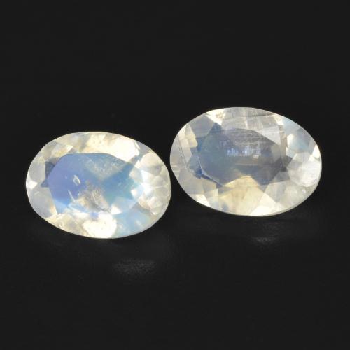Gemme di Pietra di luna arcobaleno Bianco bluastro naturale da 1.35 ct, Ovale, Trasparente