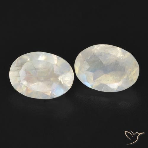 Gemme di Pietra di luna arcobaleno Bianco bluastro naturale da 1.55 ct, Ovale, Trasparente