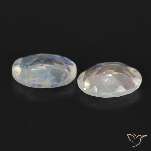 Gemme di Pietra di luna arcobaleno Bianco bluastro naturale da 1.41 ct, Ovale, Trasparente