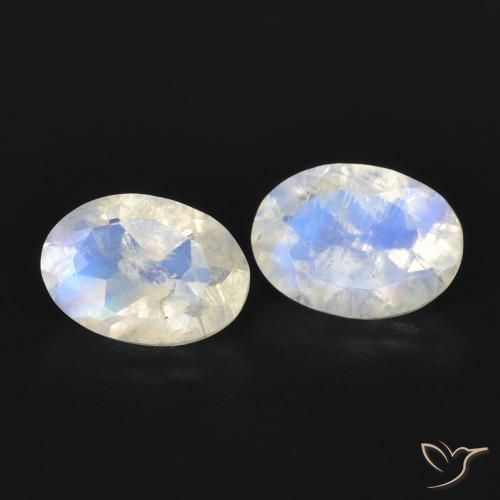 Gemme di Pietra di luna arcobaleno Bianco bluastro naturale da 1.48 ct, Ovale, Trasparente