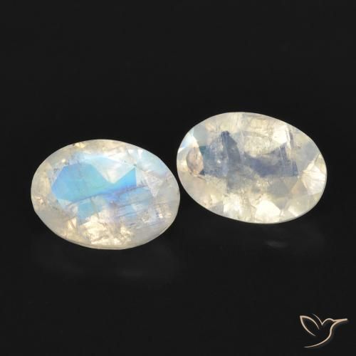 Gemme di Pietra di luna arcobaleno Bianco bluastro naturale da 1.53 ct, Ovale, Trasparente