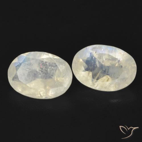 Gemme di Pietra di luna arcobaleno Bianco bluastro naturale da 1.29 ct, Ovale, Trasparente