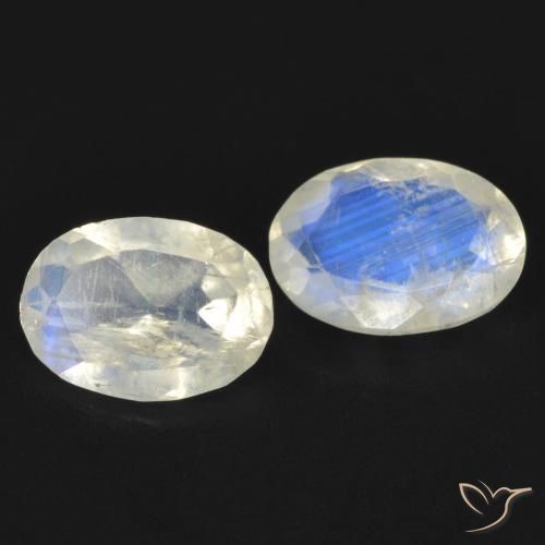 Gemme di Pietra di luna arcobaleno Bianco bluastro naturale da 1.24 ct, Ovale, Trasparente