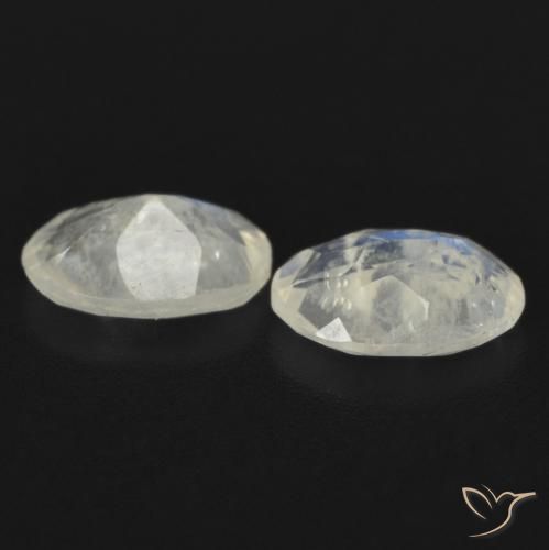 Gemme di Pietra di luna arcobaleno Bianco bluastro naturale da 1.24 ct, Ovale, Trasparente