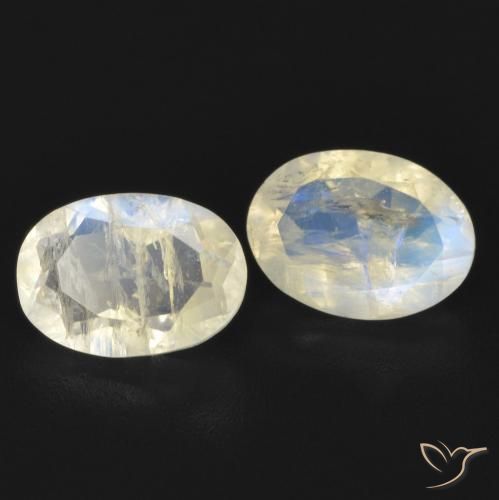 Gemme di Pietra di luna arcobaleno Bianco bluastro naturale da 1.52 ct, Ovale, Trasparente