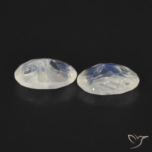 Gemme di Pietra di luna arcobaleno Bianco bluastro naturale da 0.76 ct, Ovale, Trasparente