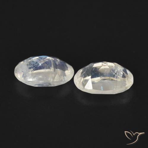 Gemme di Pietra di luna arcobaleno Bianco bluastro naturale da 0.80 ct, Ovale, Trasparente