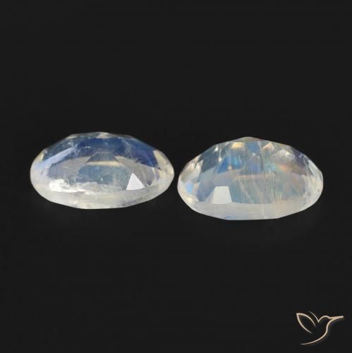 Gemme di Pietra di luna arcobaleno Bianco bluastro naturale da 0.83 ct, Ovale, Trasparente