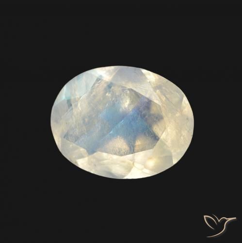 Pietra di luna arcobaleno Bianco bluastro naturale da 1.28 ct, Ovale, Trasparente