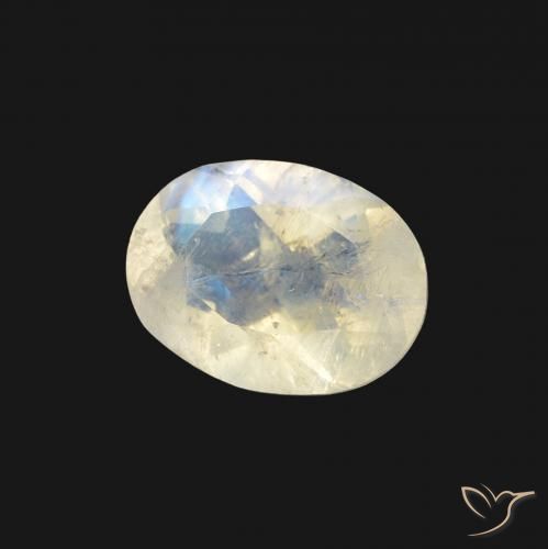 Pietra di luna arcobaleno Bianco bluastro naturale da 1.23 ct, Ovale, Trasparente