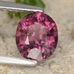 Granato rodolite naturale porpora da 1,37 ct, taglio ovale, VS