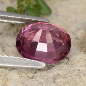 Granato rodolite naturale porpora da 1,37 ct, taglio ovale, VS