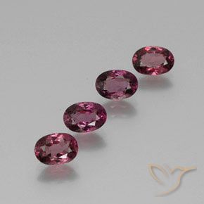 3.69ctw Naturale Viola medio Granato rodolite, Ovale, VS