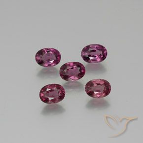 Gemme di Granato rodolite Viola medio naturale da 5.38 ct, Ovale, VS