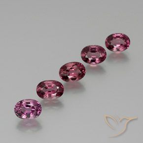 5.74ctw Naturale Magenta-Rosa Granato rodolite, Ovale, VVS-VS