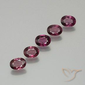 5.27ctw Naturale Viola scuro Granato rodolite, Ovale, VS