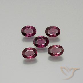 Gemme di Granato rodolite Viola scuro naturale da 5.27 ct, Ovale, VS