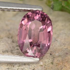 Granato Rodolite Rosso lampone naturale da 1.42 ct, Taglio ovale, VVS-VS