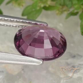 Granato rodolite naturale porpora da 1,38 ct, taglio ovale, VS