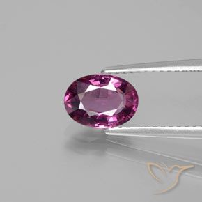 1.50ct Naturale Viola scuro Granato rodolite, Ovale, VS