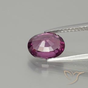 Granato rodolite Viola scuro naturale da 1.65 ct, Ovale, VS