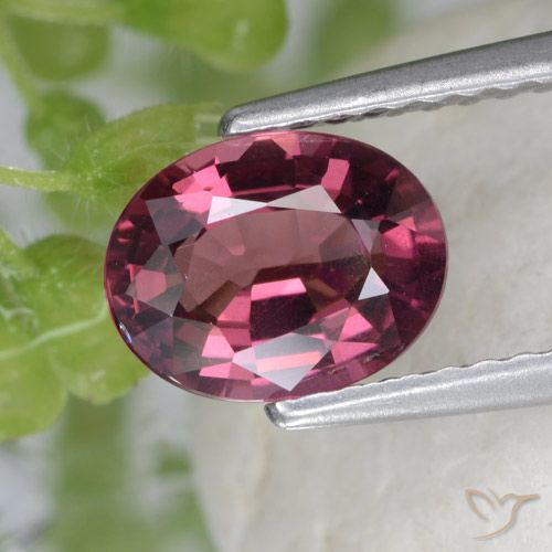 1.53ct Naturale Viola medio Granato rodolite, Ovale, VS