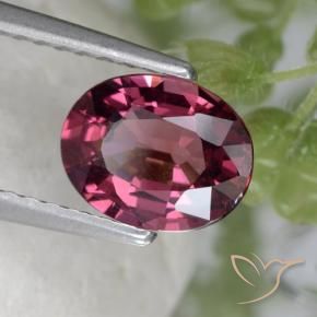 Granato rodolite Viola medio naturale da 1.53 ct, Ovale, VS