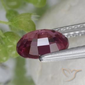 Granato rodolite Viola medio naturale da 1.53 ct, Ovale, VS
