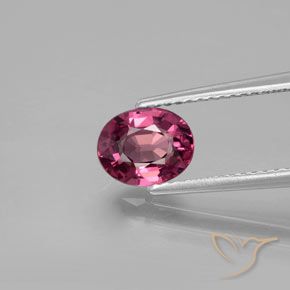 1.45ct Naturale Viola medio Granato rodolite, Ovale, VVS-VS