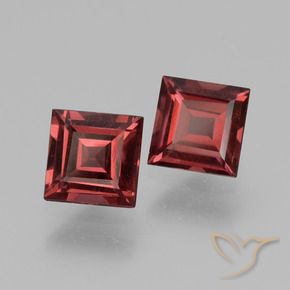 Gemme di Granato rodolite Rosso scuro naturale da 1.56 ct, Quadrato, VS