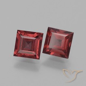 Gemme di Granato rodolite Rosso scuro naturale da 1.53 ct, Quadrato, VS