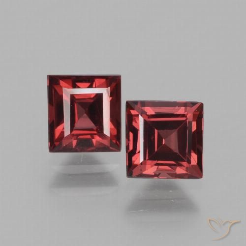 1.61ctw Naturale Rosso scuro Granato rodolite, Quadrato, VS