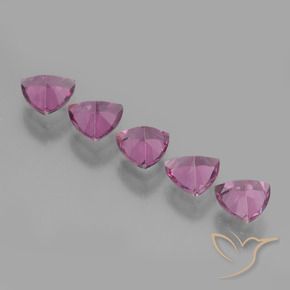 Gemme di Granato rodolite Viola medio naturale da 2.59 ct, Taglio trillion, VS