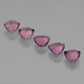 Gemme di Granato Rodolite Rosato naturale da 2.69 ct, Taglio trillion, VS