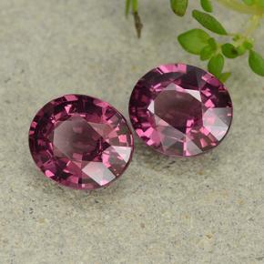 Gemme di Granato Rodolite Rosa violaceo naturale da 3.31 ct, Taglio ovale, VVS-VS