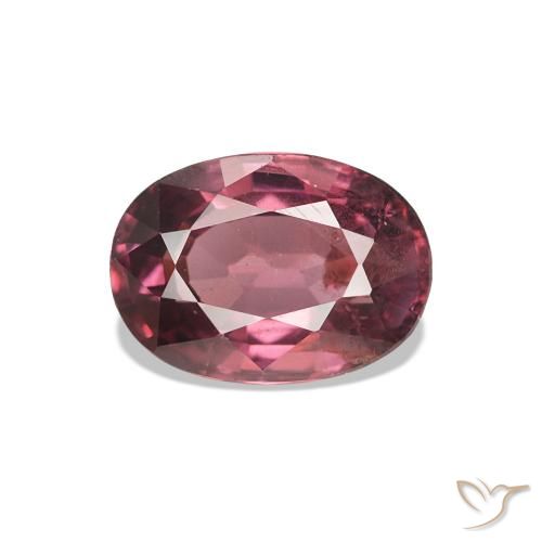 1.10ct Magenta-rosa scuro Dark Granato rodolite, Ovale, VS-SI